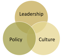 Leadership Policy Culture